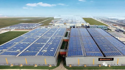 市場交流篇 技術(shù)咨詢?cè)诎舜髽I(yè)務(wù)板塊中的現(xiàn)狀與機(jī)遇